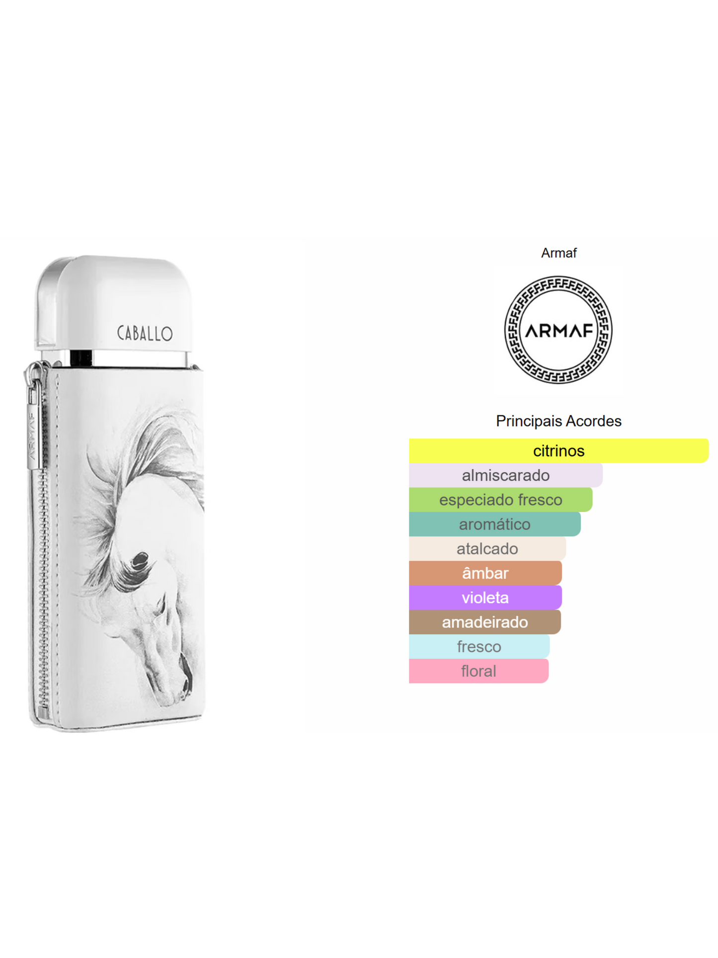Decant Caballo Pour Homme - Masculino - ARMAF