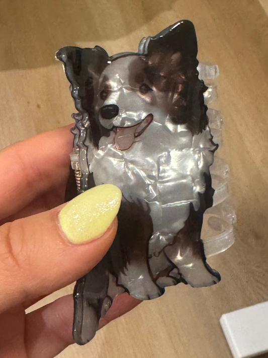 Mola para o cabelo cão