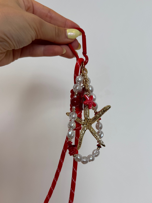 Estrela do mar com missangas