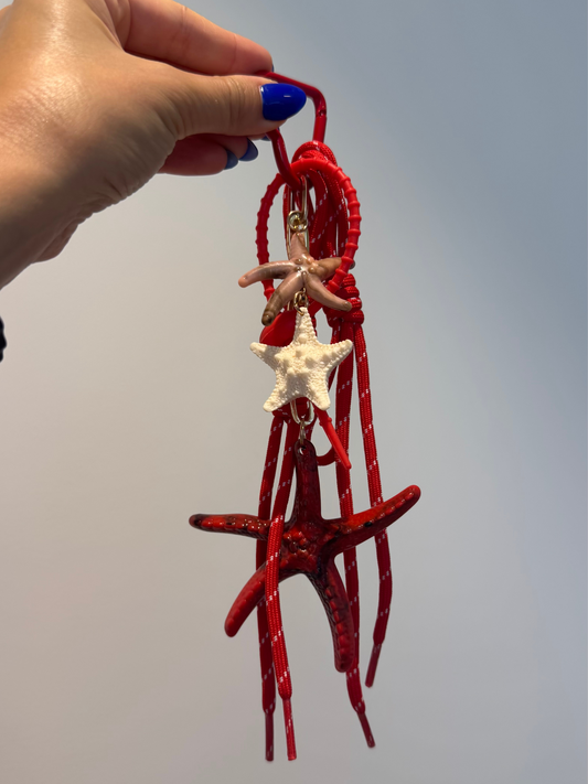 Estrelas do mar
