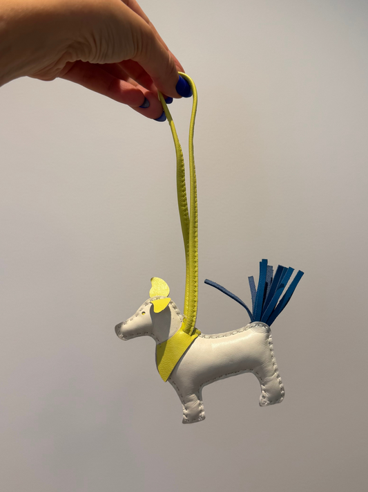 Cão branco, amarelo e azul